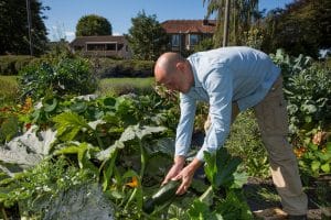 Man gardening in allotment